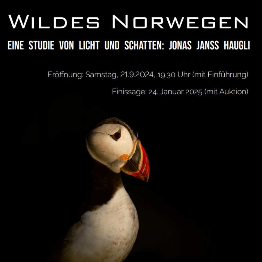 Wildes Norwegen - Eine Studie von Licht und Schatten - Ausstellung ab 21.9.2024